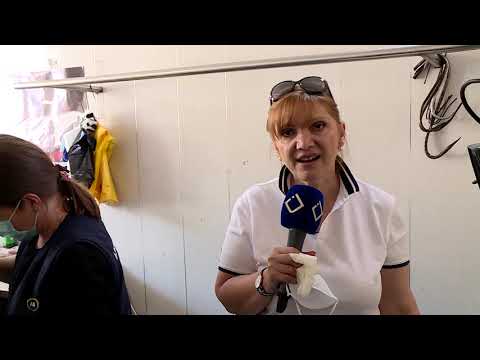 დედოფლისწყარო და თევზები გლდანში