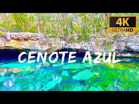 Dive into the Cenote Azul!
