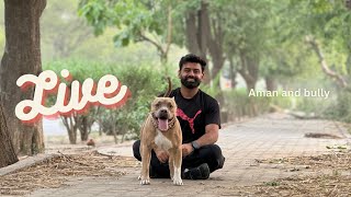 Aman and Bully is live