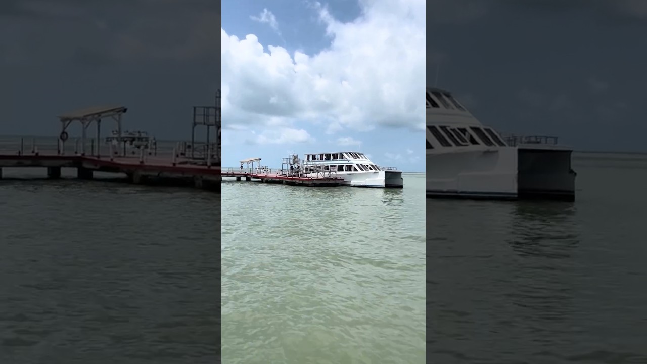 Belize island 🌊🏝️#viral #cruise vacation #fyp 🛳️🛳️🔥