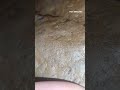 3,928.5ct Carbonado Diamond Meteorite