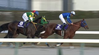 レモンポップ　【競馬フィギュア】 チャンピオンズカップ】レモンポップ史上2頭目の連覇達成！ラストラン