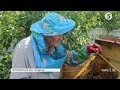 Секрети бджолярського ремесла від 92-річного пасічника Олексія Ставінського