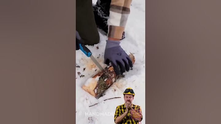 رد فعل بوتش ❄️🔥 البقاء على قيد الحياة في شتاء سيبيريا بدون منزل!