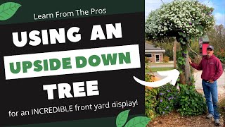 Make an Incredible Front Yard Display with an Upside Down Tree The Upside Down Tree With Jean And Violet