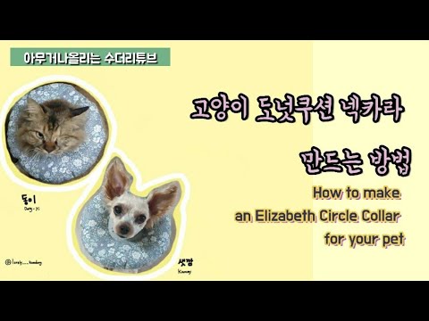 고양이 도넛넥카라 만드는 방법! How to make an elizabeth circle collar for pet