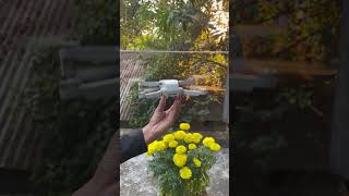 ড্রোন কি নিজে নিজে উড়ে? 🤔 Auto Fly কিভাবে কাজ করে? 🚁 | #drone #djimini4k #bangladrone