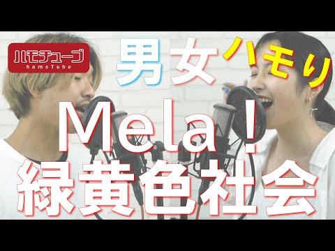 【ハモり練習用】Mela! / 緑黄色社会『ハモり完全攻略』