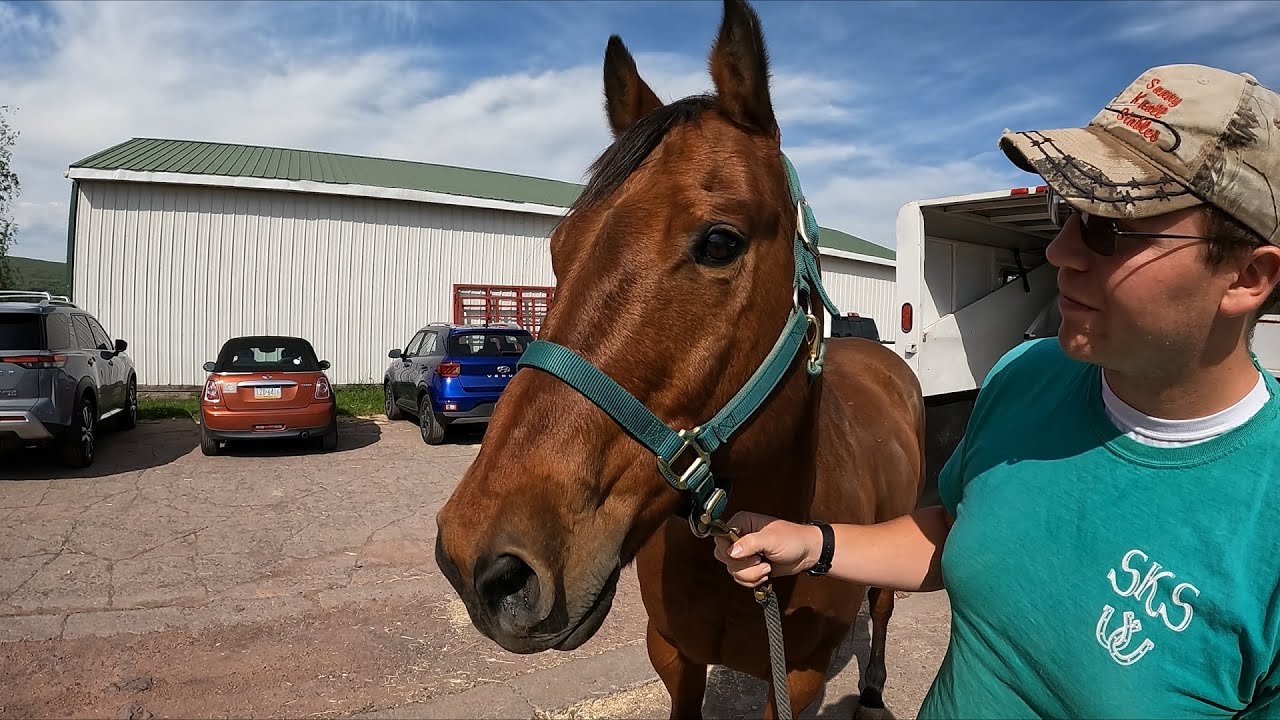 Старый друг возвращается! Приветствуем возвращение По