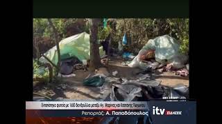 Εντοπίστηκε φυτεία 1650 δενδρύλλια μεταξύ Αγ. Μαρίνας και Καστανής Πωγωνίου - ITV Ειδήσεις 3/10/2025