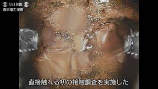 福島第1原発　2号機の燃料デブリの接触調査　動かせることを確認