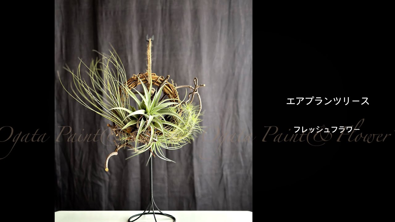 リースの作り方◇フレッシュフラワー】エアプランツのリース airplants