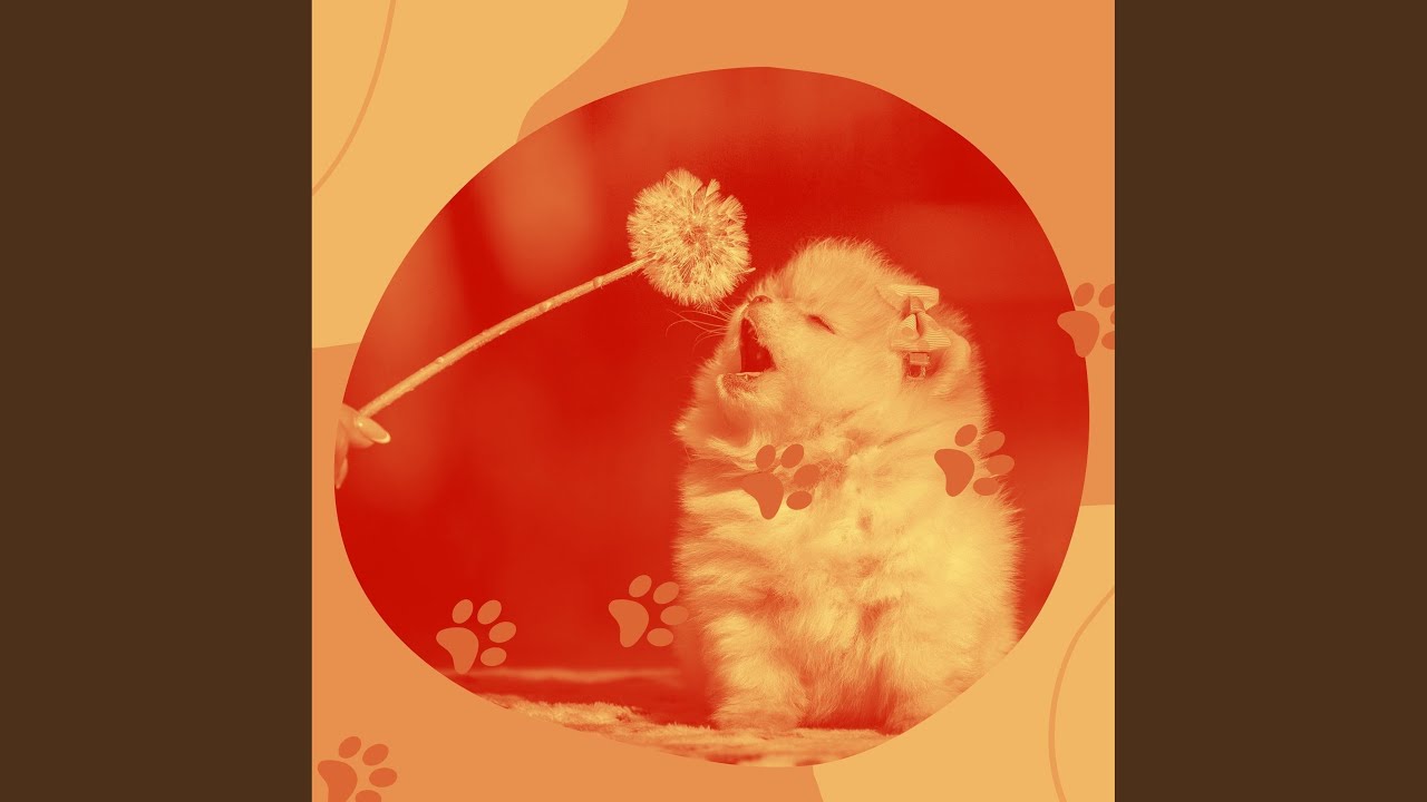 Sublime Backdrops for Calm and Serene Dogs