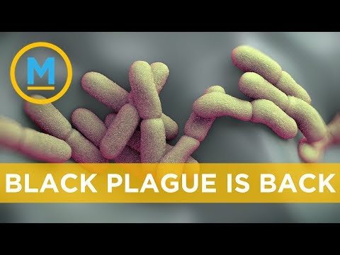 Video: In China, Due To The Threat Of Bubonic Plague &#91;blockaded The City&#93;