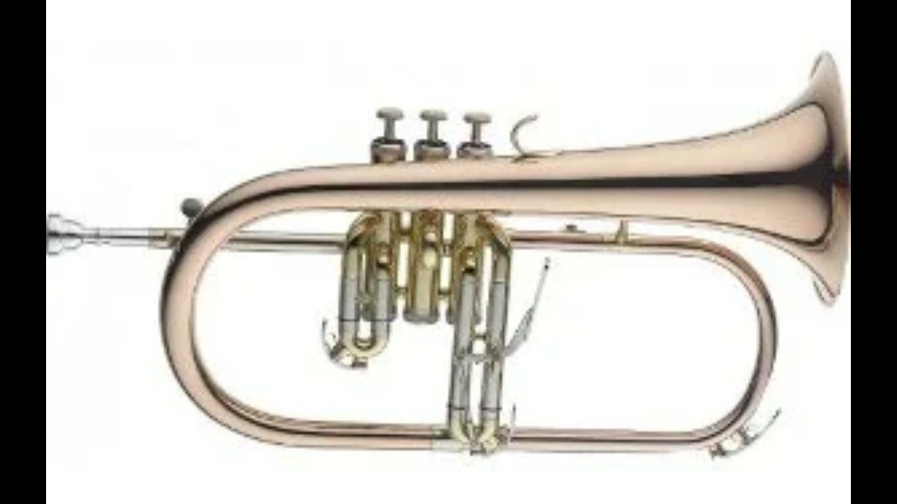 Part of 4hrs 2025 Lepanta