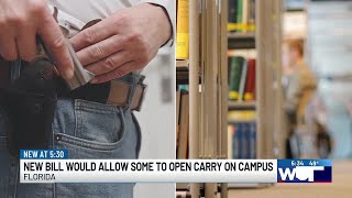 Florida bill would allow some college employees to carry weapons on campus