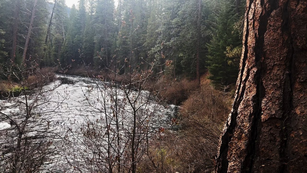 (4K UHD) HIKING HIGHLIGHTS West Metolius River Trail in Spring Nestled in Deschutes National Forest!
