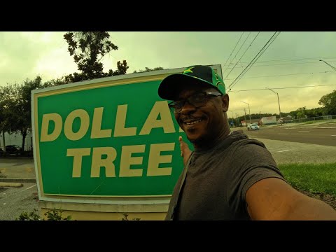 Morning Walk in Tampa