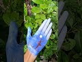 Hand painting 🖼 💙#short #ytshorts #subscribemychannel