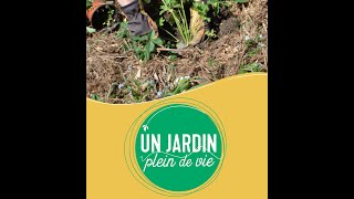 Un Jardin Plein De Vie