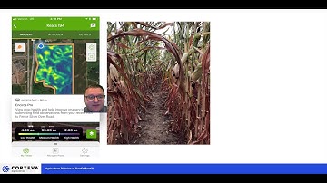 Field Scouting with Encirca Pro Crop Health Imagery