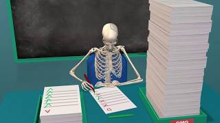 Visible Body Courseware: A 3D Solution for Anatomy Instructors and Students