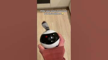 She just visits home with a tiny robot 😭❤️#longdistance #siblings #camera #robot