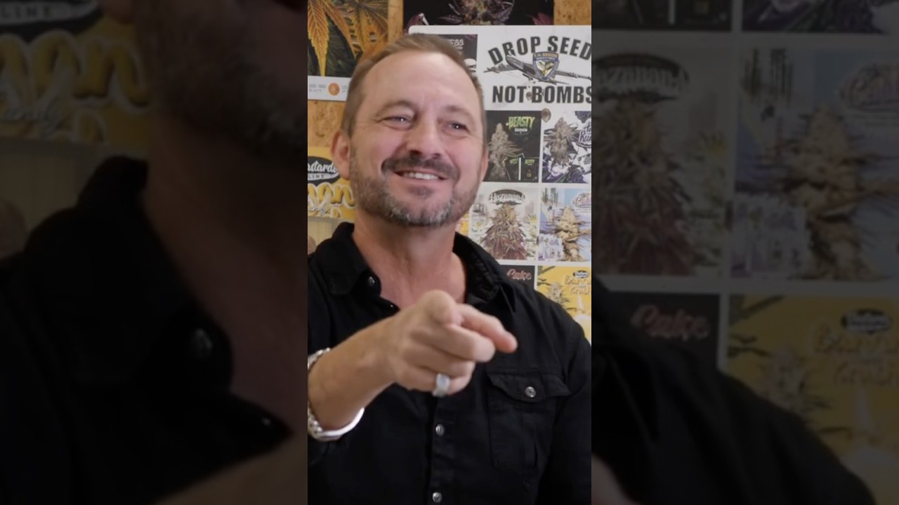 TH Seeds Gründer über Strains mit hoher Potenz