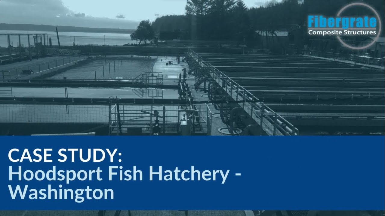 Fish Grating Safe-T-Span® Pultruded Grating in Hoodsport Fish Hatchery, Washington ...