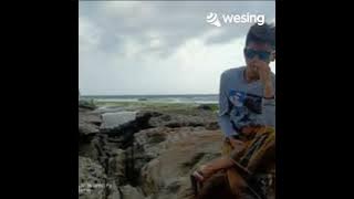 Setitis Racun Dalam Madu