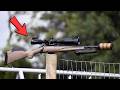 Why These 10 Ranch Rifles Are Replacing Everything Else!