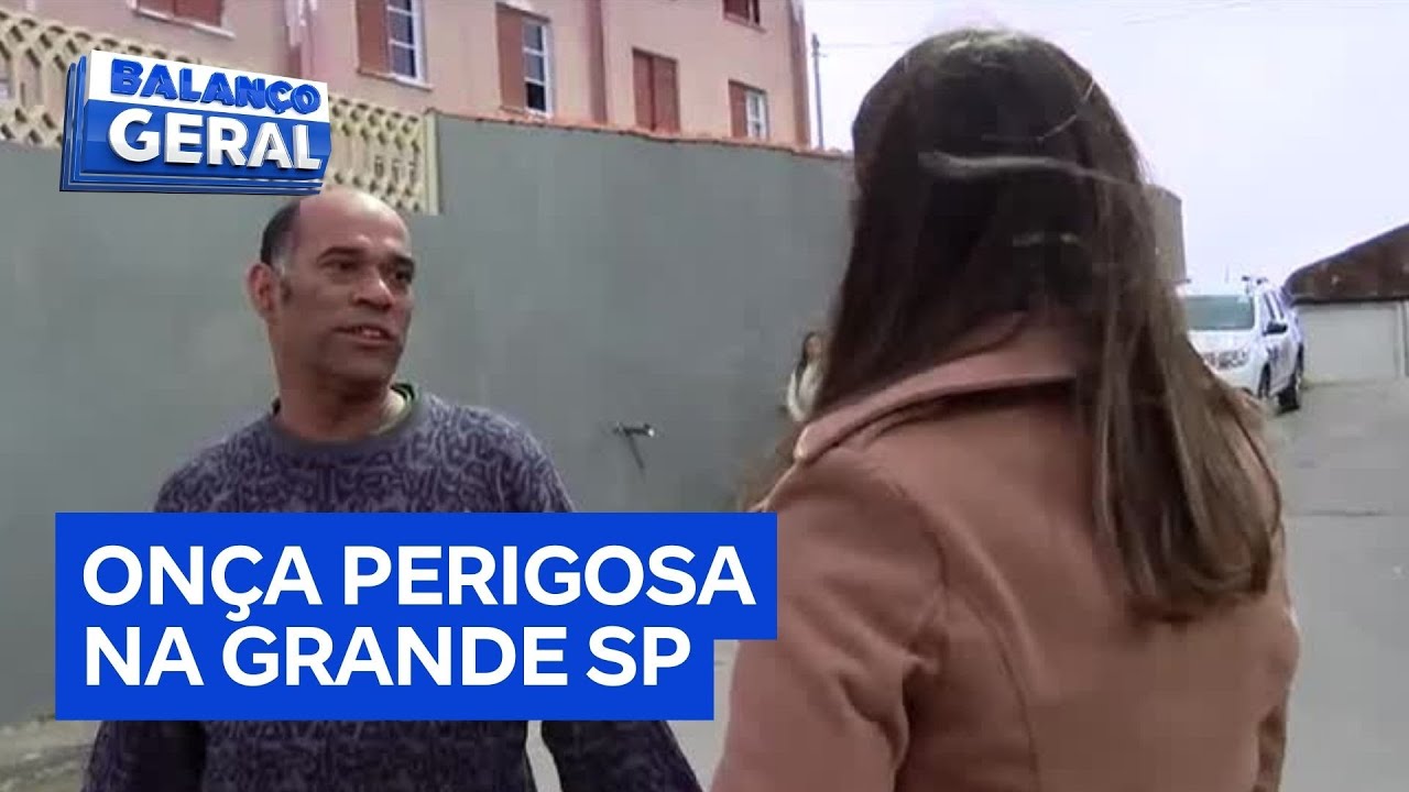 Presença de onça-parda assusta moradores em Mauá e Ribeirão Pires, na Grande SP