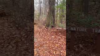 Woods Bay State Park