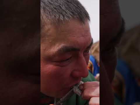 Употребление рыбы является одной из причин спокойного, доброжелательного нрава северян #крайнийсевер