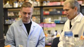 Kim Lewis – Teixobactin Discovery