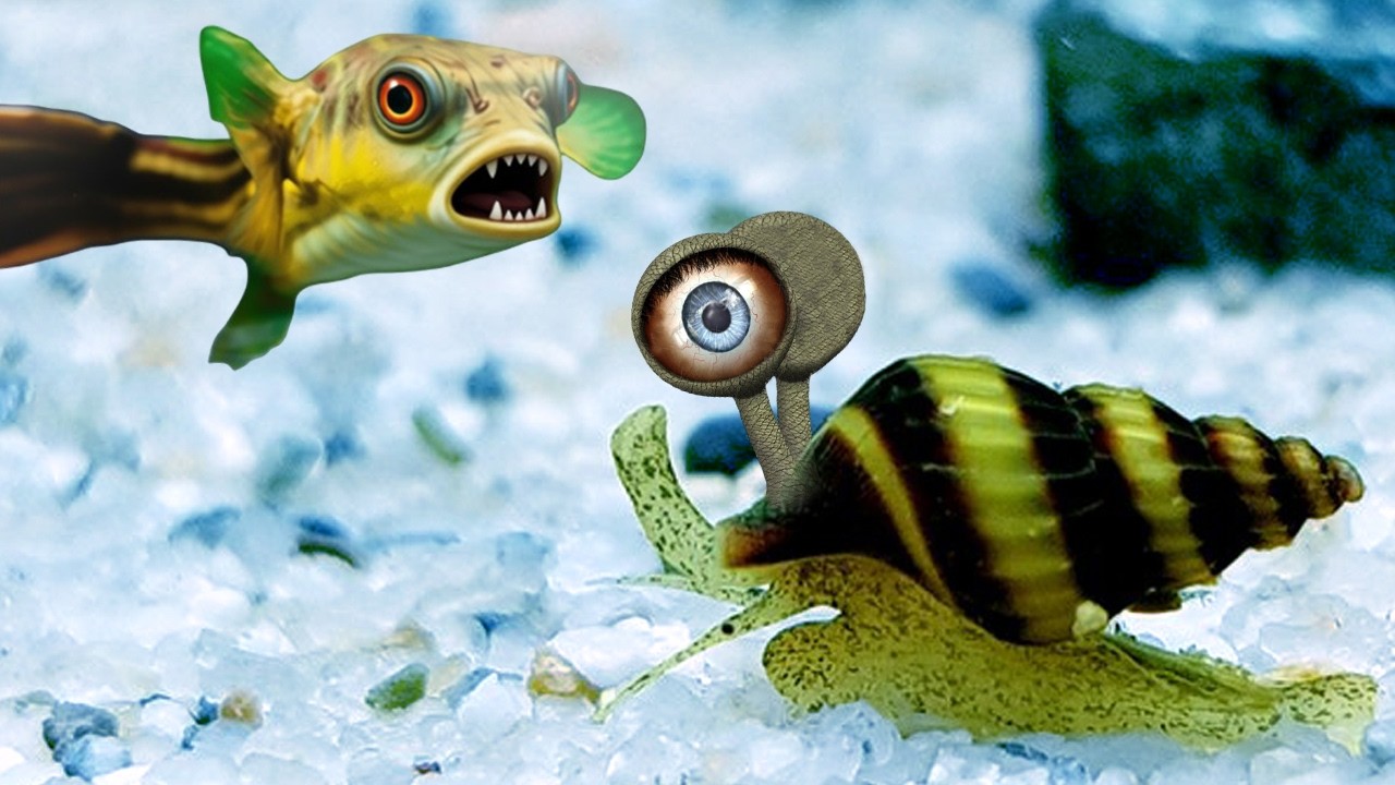 Я Завел Хищную УЛИТКУ ХЕЛЕНУ и Был В ШОКЕ От Реакции На ИГЛОБРЮХА