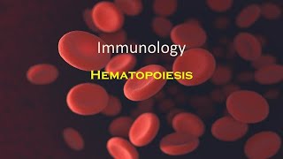 Hematopoiesis Part 12
