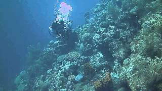 PICT0518