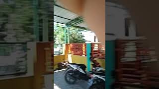 Barongan joyo kusumo live pulosari