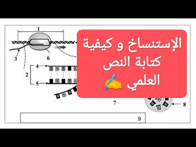 • تمرين 9 تركيب البروتين  [ كيفية كتابة النص العلمي ؟ ✍️ ] .
