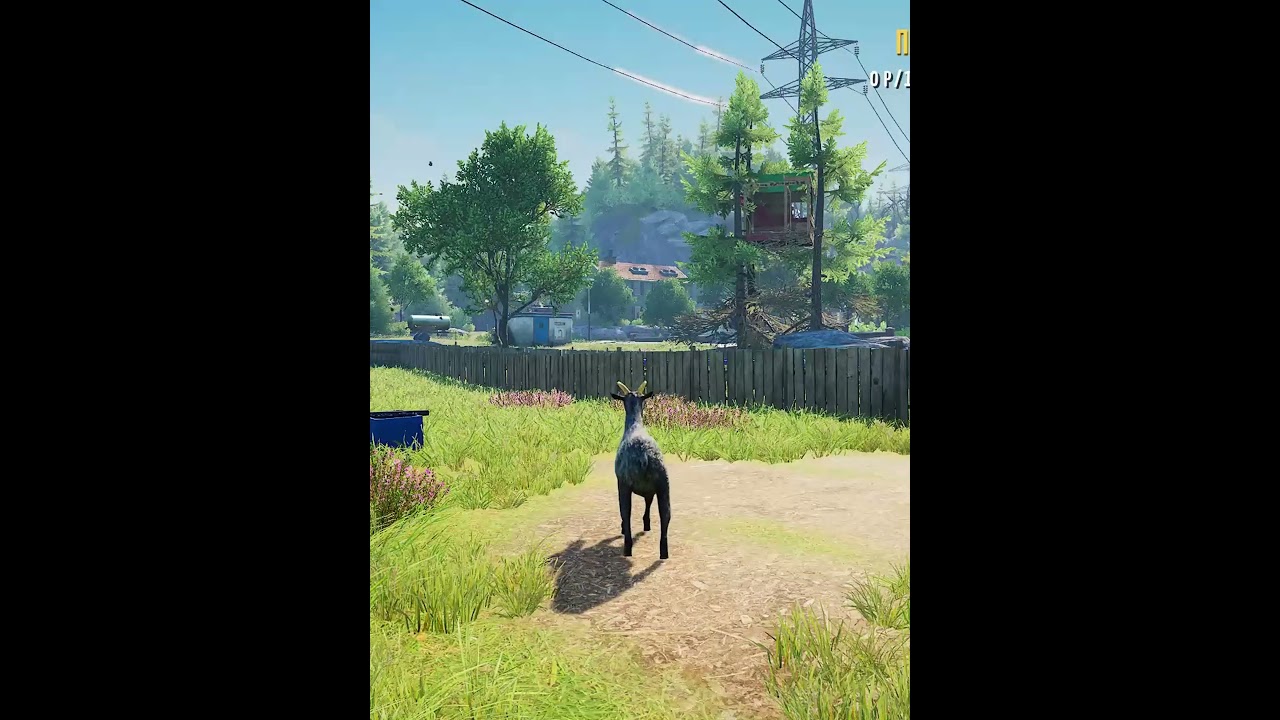 preview_player