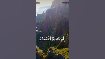 تلاوة قصيرة صلاح بو خاطر حالات واتس ارح سمعك وقلبك 🕊️💜