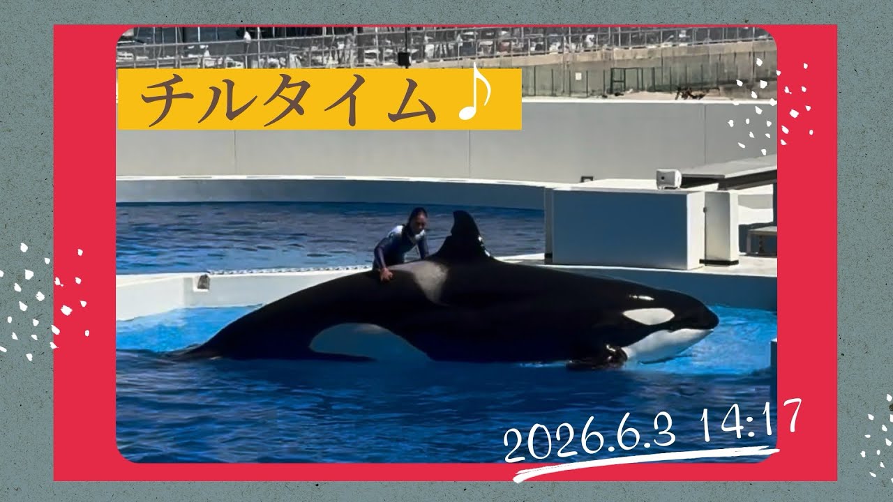 Chill time♪ 2026.6.3 14:17 - YouTube