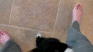 DSCN0578.AVI