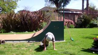 Tre Flip Off of My Halfpipe