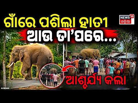 ଗାଁରେ ପଶିଲା ହାତୀ, ଆଉ ତା'ପରେ... Elephant Panic in Dhenkanal Village | Tusker Roams Freely in Village