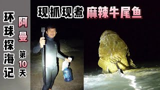 《环球探海记》阿曼~第10天：夜间赶海叉到1条很大的牛尾鱼，没想到做成麻辣味的居然这么好吃！