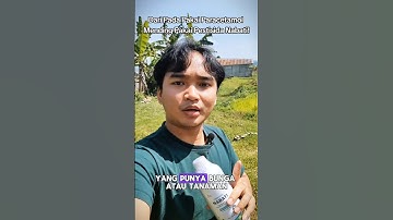 Jangan pakai pestisida kimia, pakai pestisida nabati aja! #pestisida #benihseribuan #benihonline
