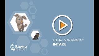 Buzz to the Rescues: Animal Management: Intake