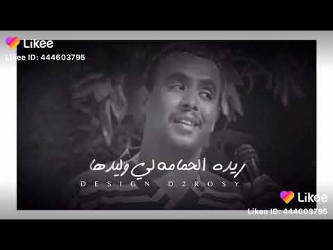 يا حبيب بريدك ريده 